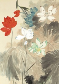 ����븮������������Ȣ�ң�����ˮ��