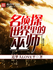 ����̽���������ʦ