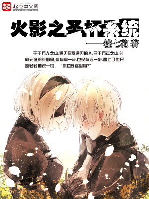 ��Ӱ֮ʥ��ϵͳ