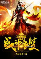 ������ҫ֮ս����˫